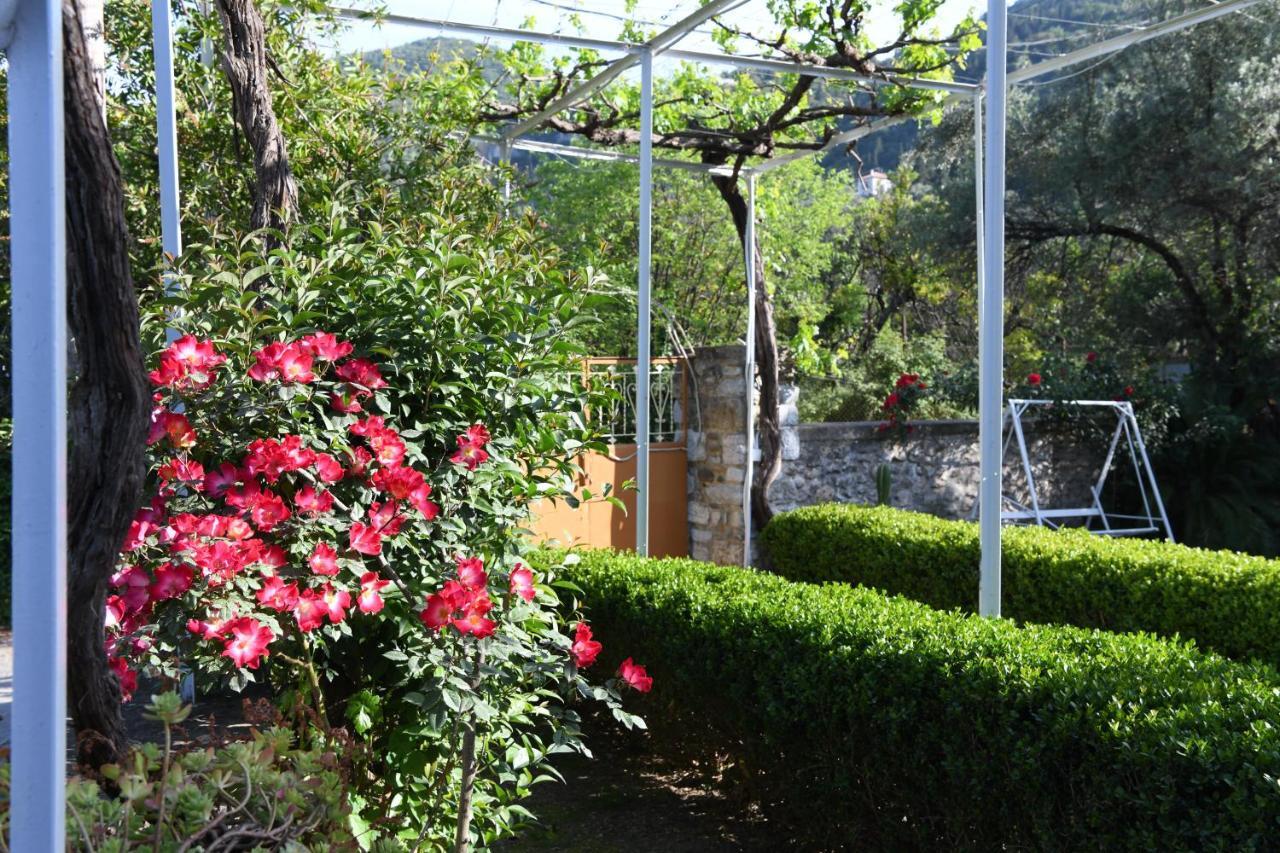 Art Flowers And Culture Mistra Zewnętrze zdjęcie