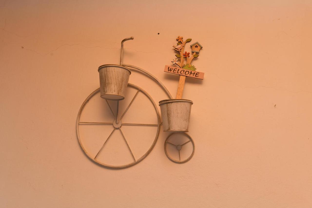 Art Flowers And Culture Mistra Zewnętrze zdjęcie