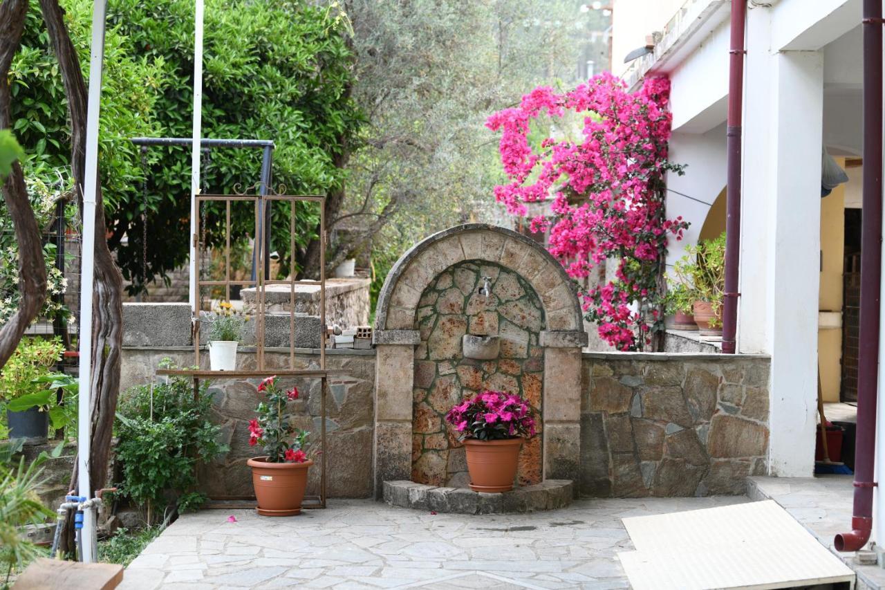 Art Flowers And Culture Mistra Zewnętrze zdjęcie