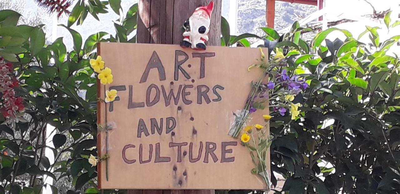Art Flowers And Culture Mistra Zewnętrze zdjęcie